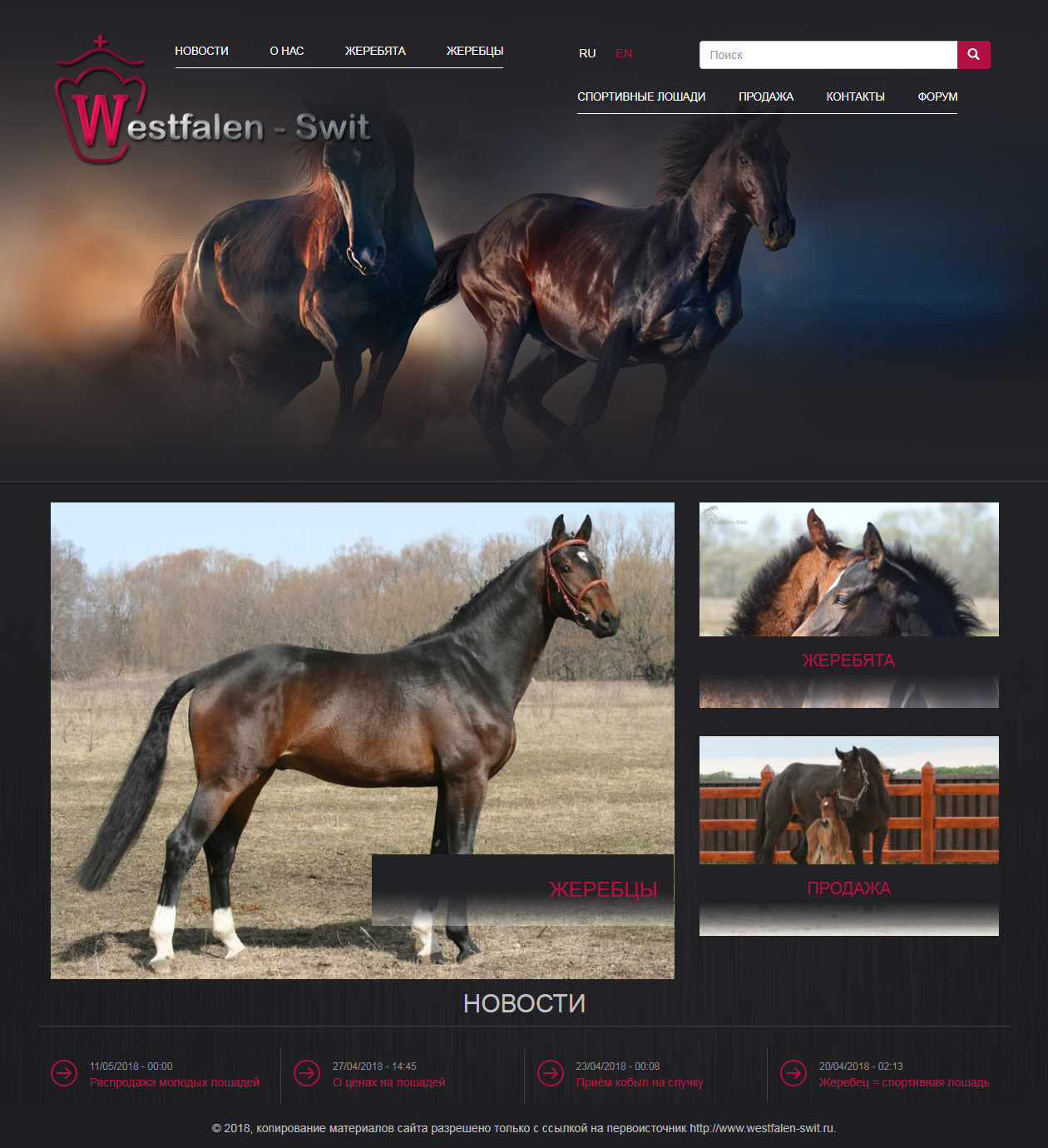 Сайт по продаже лошадей